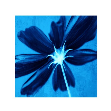 Trademark Fine Art